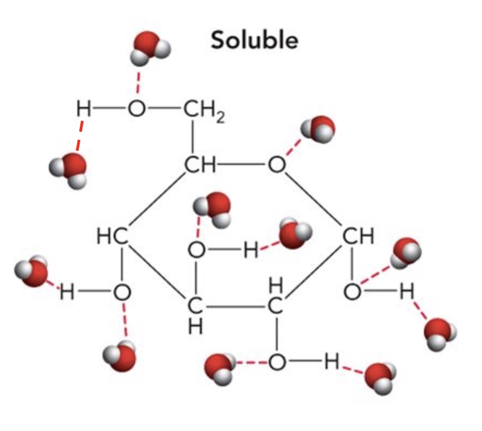 <p>5 hydroxyl groups and an oxygen ring. </p>
