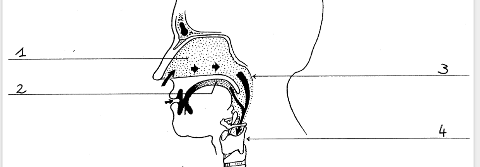 <p>1</p>