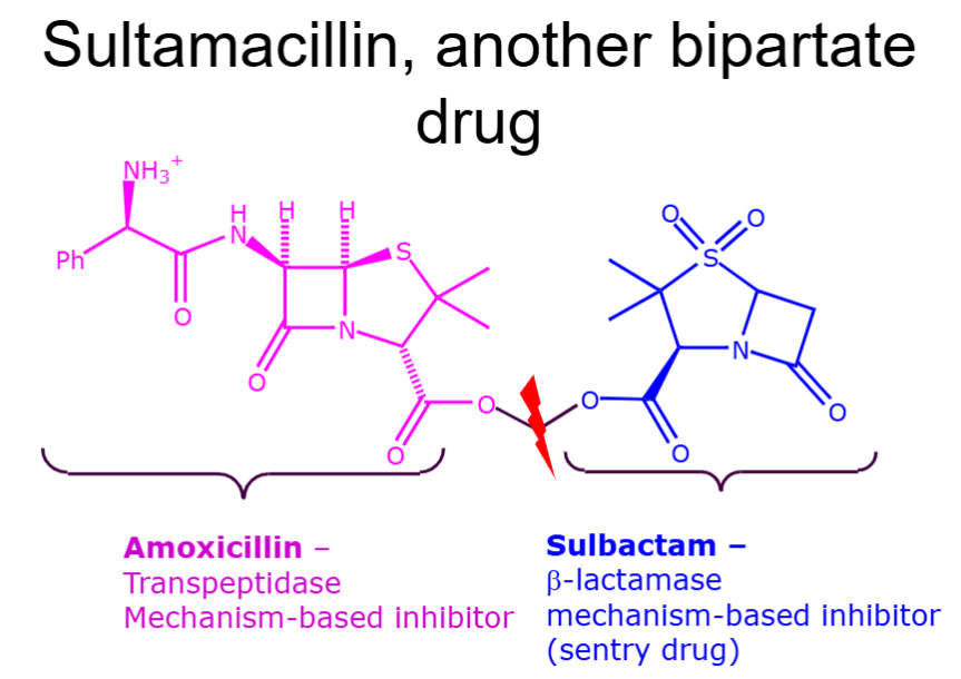 <p>CarbiDOPA. It competitively inhibits DOPA decarboxylase and forms a complex (acetaldehyde linkage) with it in the blood.</p><p>Sentry drug - protects the active drug we want to deliver from being degraded</p>