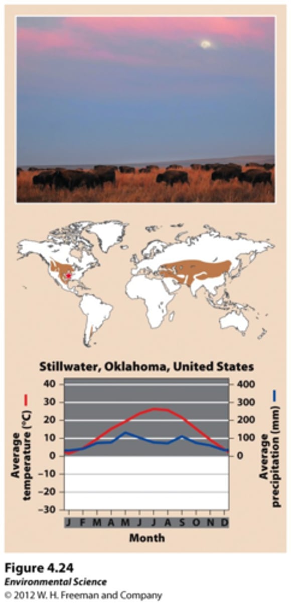 <p>Usually occur in the interiors of continents in areas too moist for deserts and too dry for forests. Seasonal drought</p>