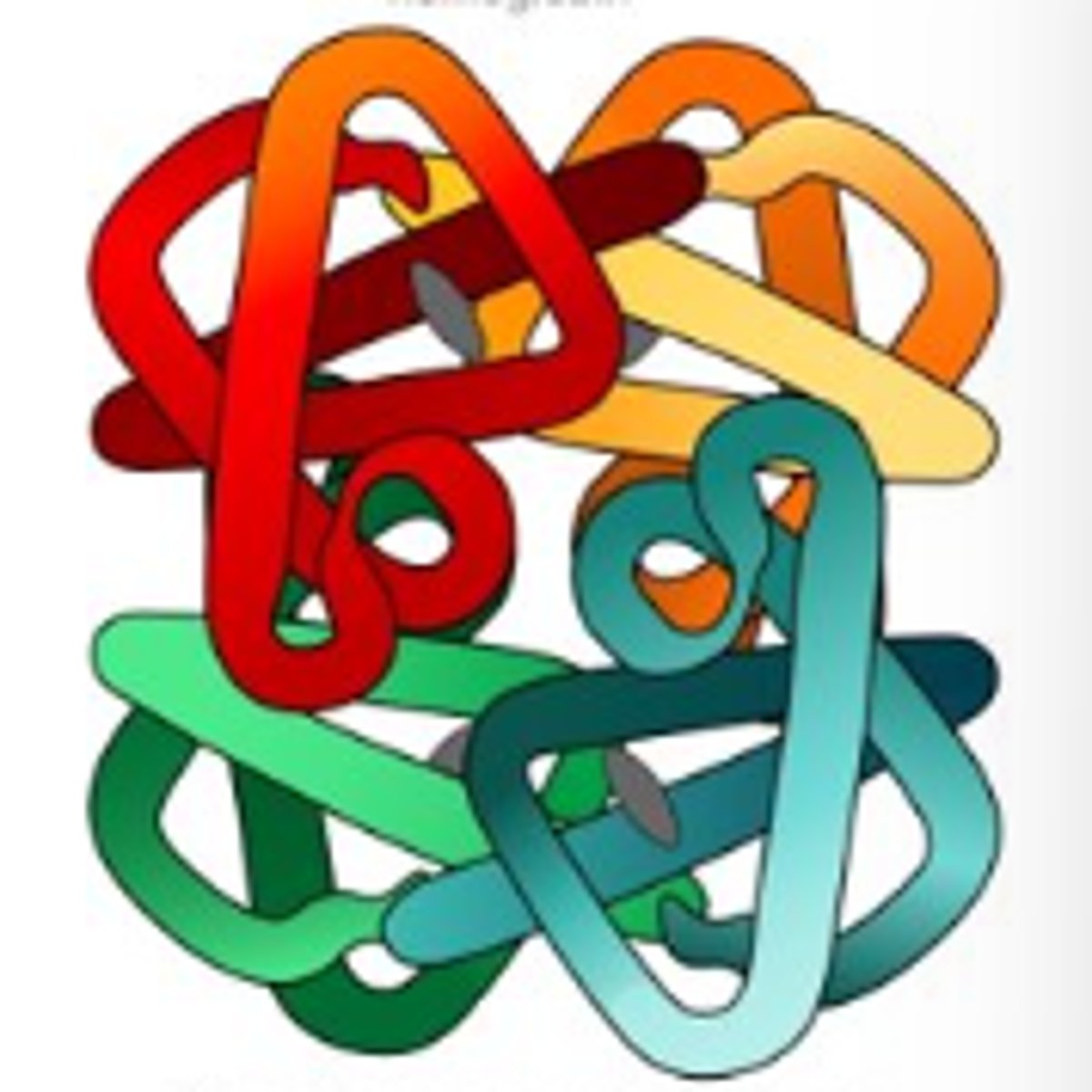 <p>The assembly of multiple proteins into a protein complex.</p>