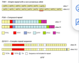 <p>Korte lengten (&lt;400 bp) van niet-coderend DNA met 3-15 herhalende elementen van elk 3-7 bp. Er bestaan 3 soorten:</p><p>- Simpel: herhalende delen hebben dezelfde lengtes en sequenties</p><p>- Compound: 2 of meer aanliggende simple repeats.</p><p>- Complex: verschillende herhalende delen van verschillende lengtes en daartussen variabele sequenties.</p><p>Er zitten verschillen tussen individuen door <strong>mutaties</strong>, <strong>recombinatie</strong> en onafhankelijke chromosomale variatie. Diegenen op het Y-chromosoom ondergaan geen recombinatie en hebben dus minder variatie.</p><p>Door de variatie kan het gebruikt worden voor een DNA-profiel om mensen te onderscheiden. De bewijskracht hangt af van de allelfrequenties en de hoeveelheid gebruikte loci.</p>