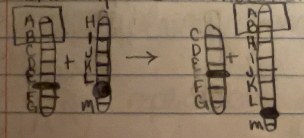 <p>structural change to chromosomes</p>