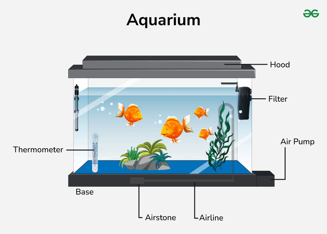<p>aquarium(n) </p>