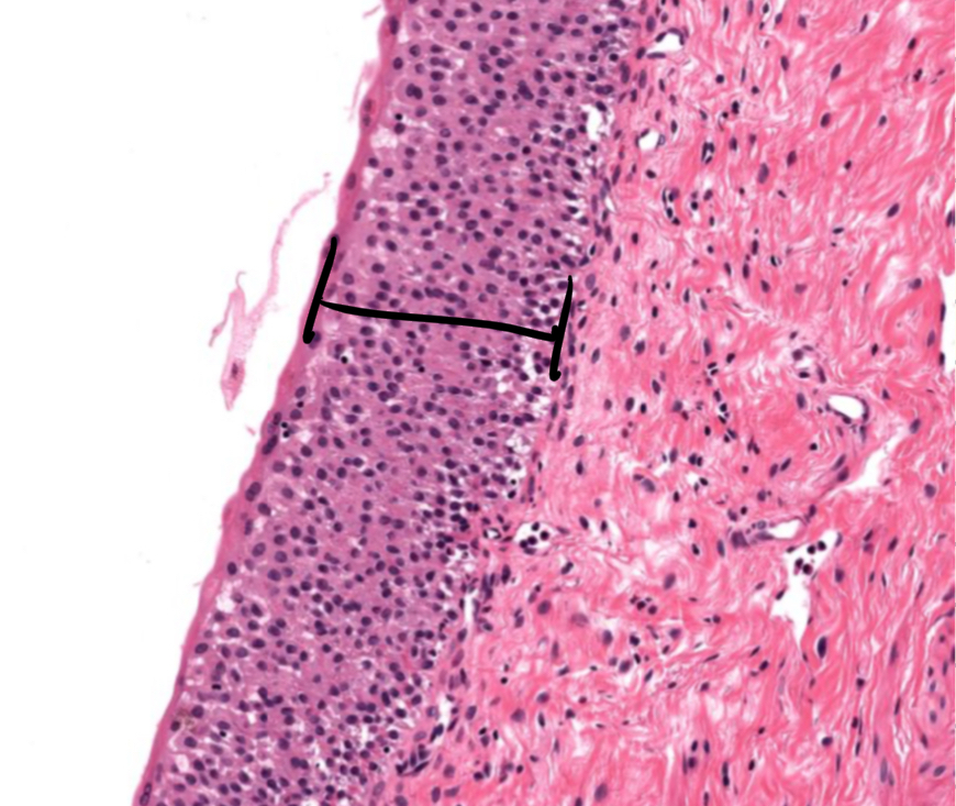 <p>What is this?</p>