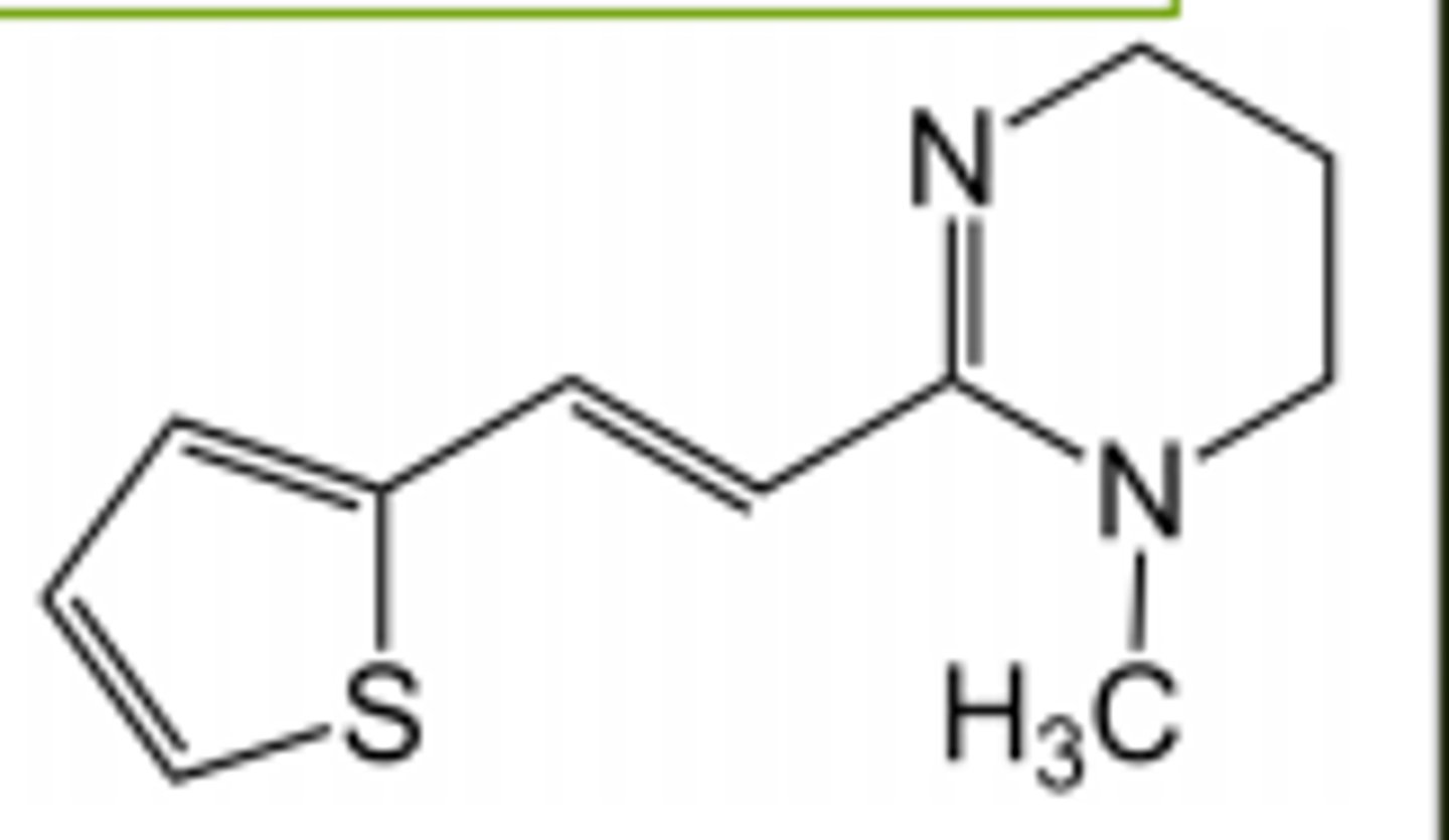 <p>Depolarizing neuromuscular blocker, which causes paralysis of nematodes</p>
