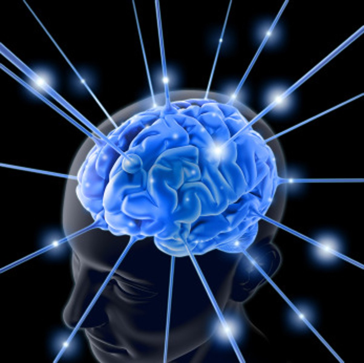 <p>meaning can be derived from information and applied to achieve a set goal</p>