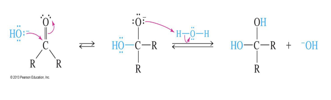 <p>Reagent:&nbsp;</p><ul><li><p>Hydroxide ion (OH<sup>-</sup>)&nbsp;</p></li><li><p>H<sub>2</sub>O</p></li></ul><p>Starting product:</p><ul><li><p>Ketone&nbsp;</p></li><li><p>Aldehyde</p></li></ul><p>Mechansium: </p><ol><li><p>the base (OH ) attacks Carbon </p></li><li><p>the double bond breaks making O<sup>-</sup> </p></li><li><p>Water comes in and Oxygen takes a hydrogen from water </p></li></ol><p>End product&nbsp;</p><ul><li><p>two –OH groups on the same carbon (geminal diol) </p></li></ul><p></p>