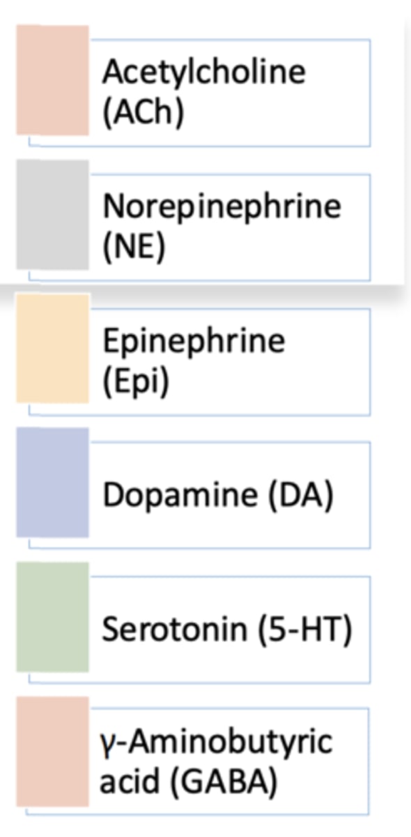 <p>neurotransmission-the relay of signals between neurons or from neurons to muscles, ex: Ach, NE, Epi, DA, 5-HT, GABA</p>