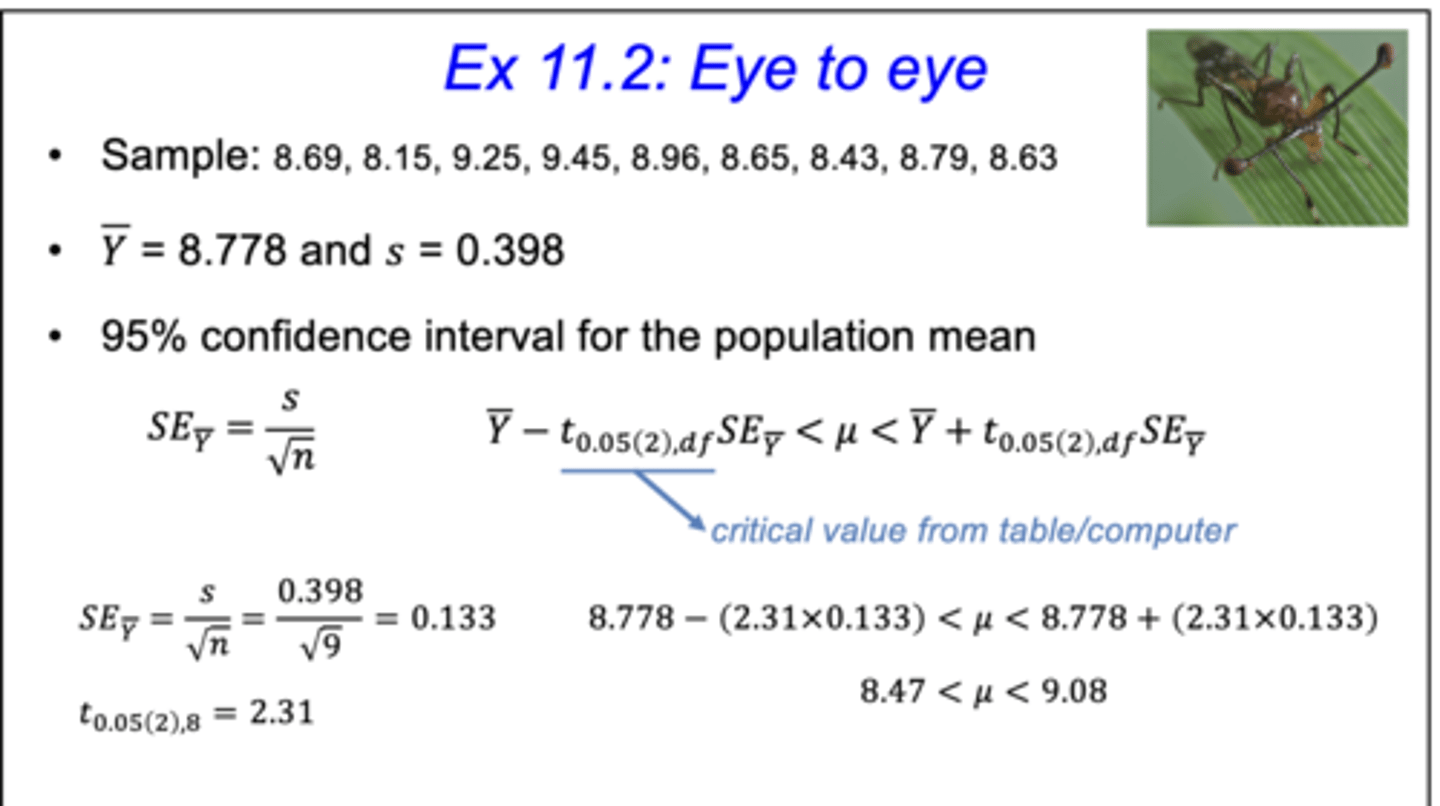 <p>t₀.₀₅(₂),df → this indicates that it is a two-tailed test because on one side of the distribution curve: t₀.₀₂₅(1)</p>