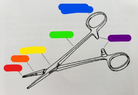 <p>What is the yellow idem?</p>