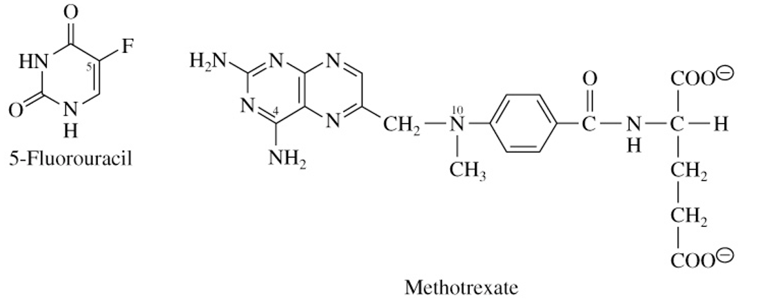 <ul><li><p>drugs designed to inhibit cancer cell growth</p></li><li><p>methotrexate has glutamate side chain making it a weak acidic drug</p><ul><li><p>used to treat acute leukemia in children</p></li></ul></li><li><p>MRP8 can transfer active 5-FU drugs out of cancer cell, creating resistance to that drug</p></li></ul><p></p>