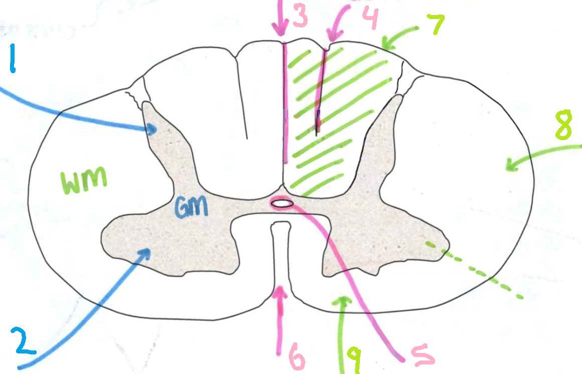 <p>What is 9?</p>