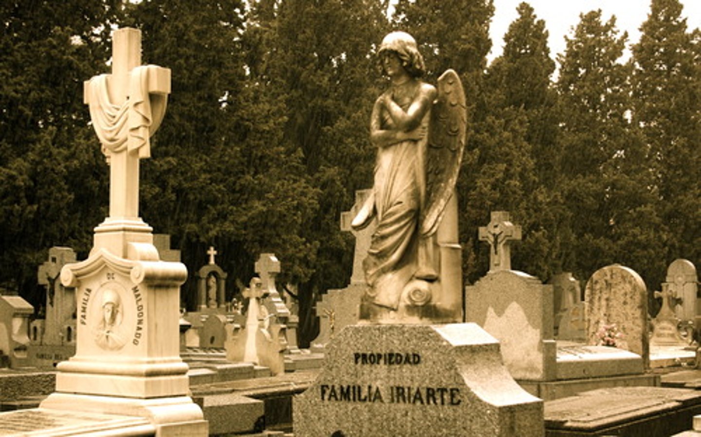 <p>cemetery</p>