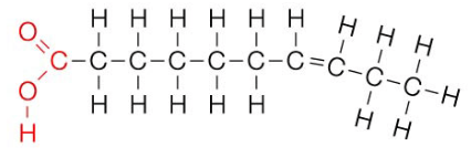 <p>monosaturated fatty acid - contains only one double covalent bond between carbon atoms</p><p>polysaturated fatty acid - contains many double covalent bonds between carbon atoms</p><p>liquid at room temperature</p><p>oil</p>