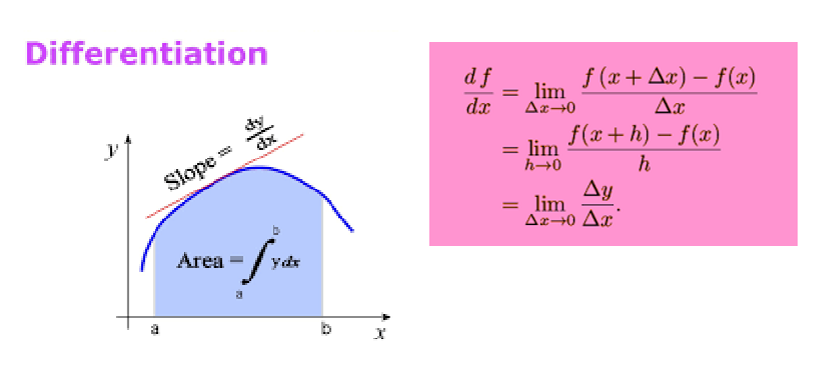 <p>the process of finding a derivative</p>