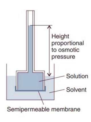 <p>In the experiment <span data-name="regional_indicator_a" data-type="emoji">🇦</span> :</p><ul><li><p>a solution is separated from the pure solvent by a semipermeable membrane  </p></li></ul><p></p><ul><li><p>pure solvent passes through the membrane ,and the solution rises in the inner tube </p></li></ul><p></p><ul><li><p>the net flow ceases when the pressure exerted by the column of liquid is equal to the osmotic pressure of the solution  </p></li></ul><p></p>