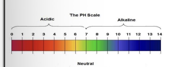 <p>Add drops of solution to universal indicator paper and observe what colour it goes</p>