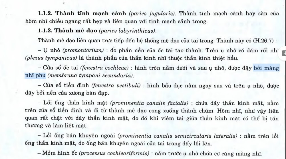 <p>D. Câu A, B đúng.</p>