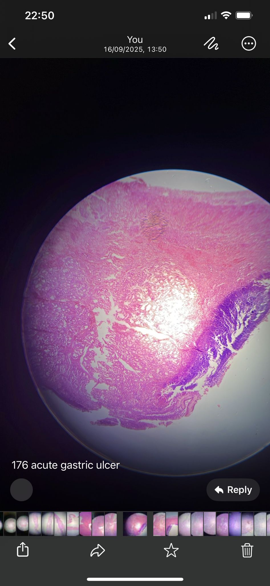 knowt flashcard image