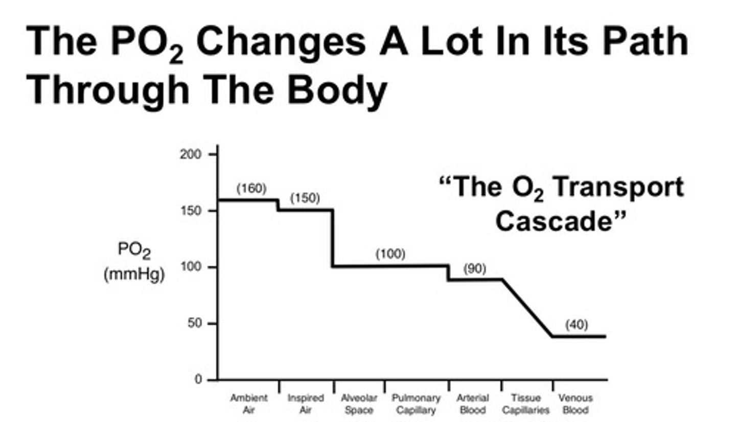 <p>we measure the partial pressure of O2 in the different spaces of the body; units are mmHg; and we consider the O2 transport cascade!</p>