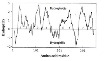 <p>what does this plot tell you about the structure of this cobalt transporter?</p>