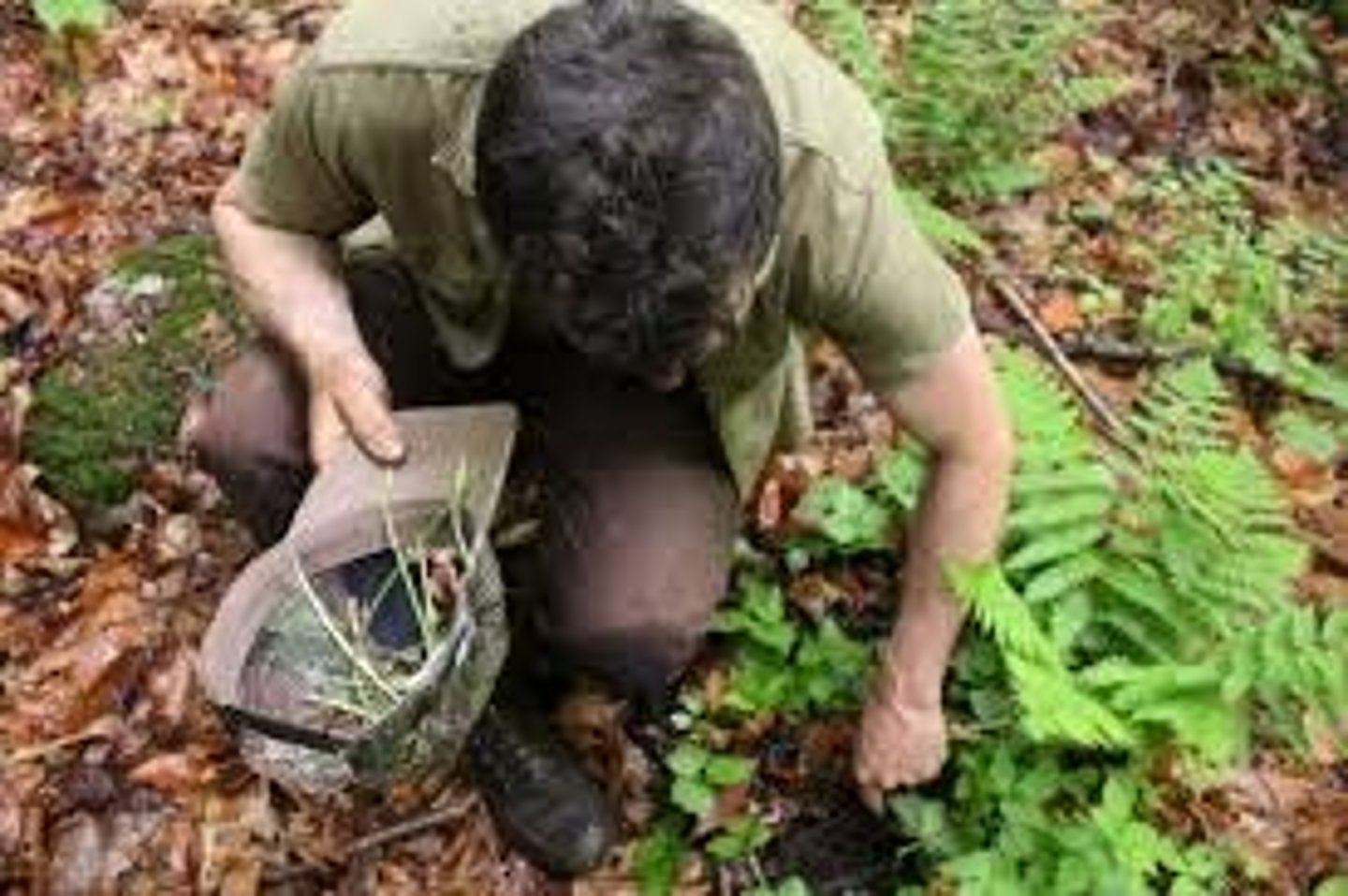 <p>1. seek for food, search, hunt, rummage</p><p>2. feed, fodder, food</p><p>(식량 등을) 찾아다니다</p><p>사료, 먹이</p>