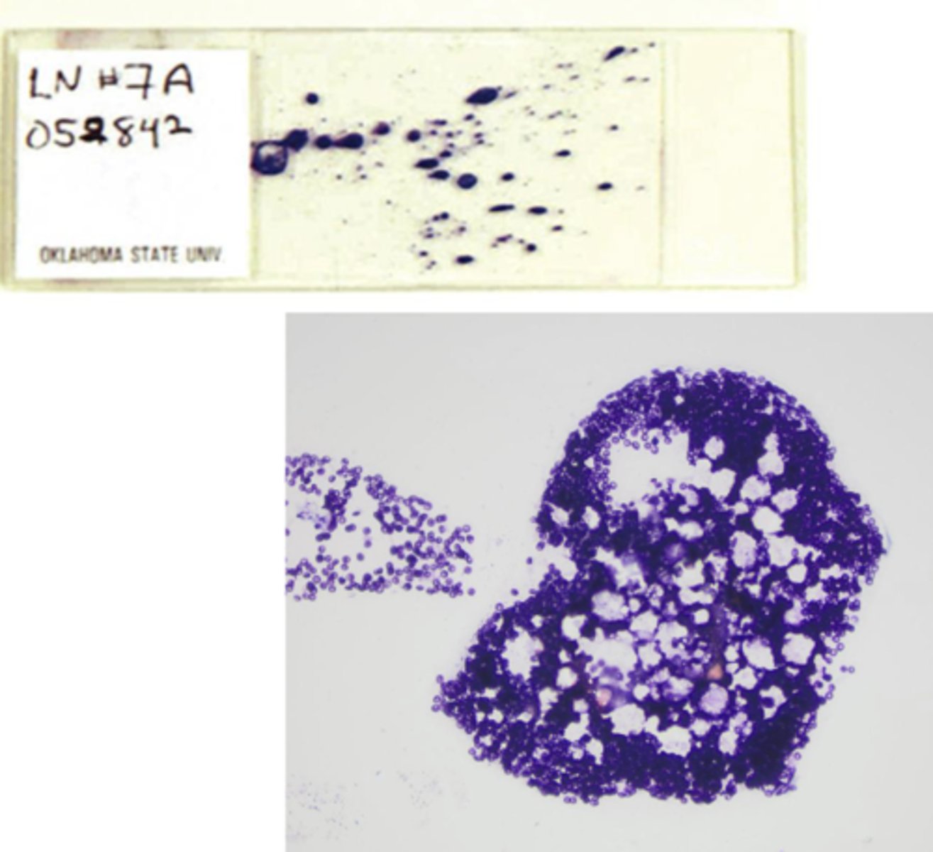 <p>What's wrong with this sample?</p>