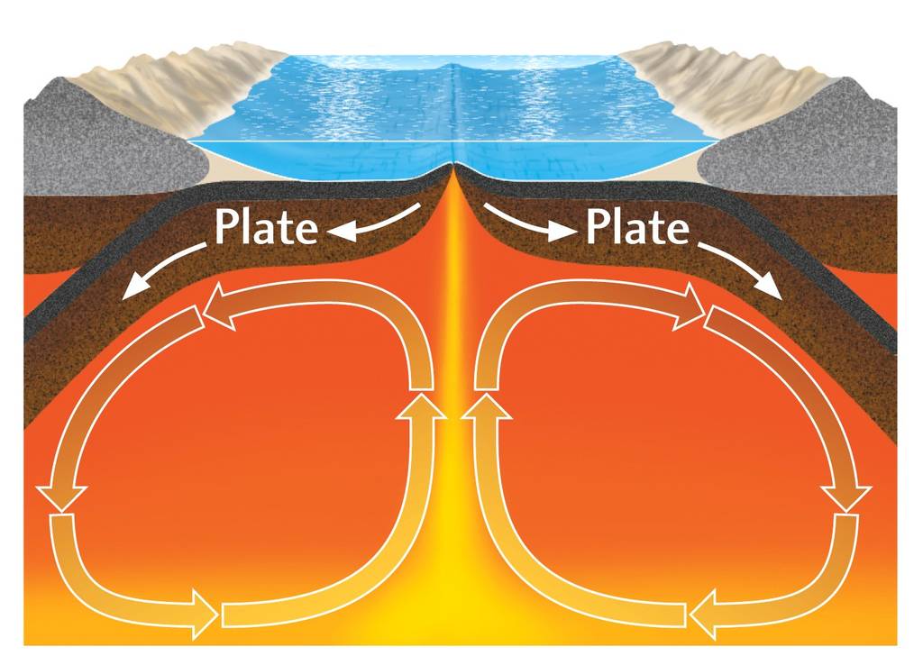 <p><span>Plate tectonics occurs because of convection currents below the crust. Convection currents are when</span></p>