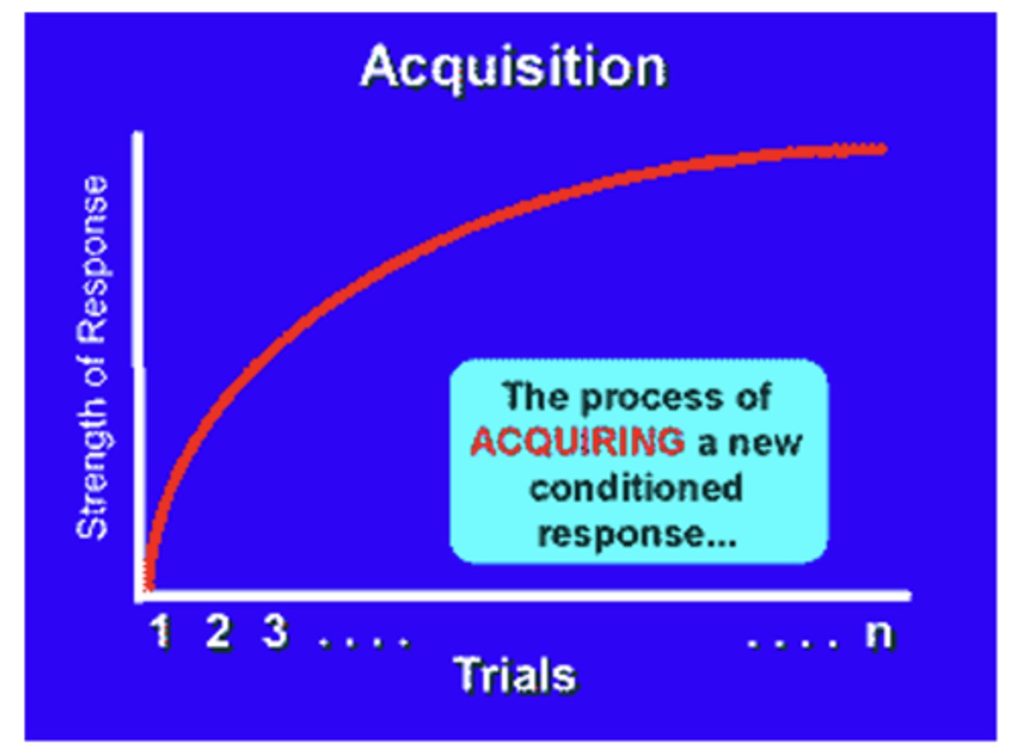 <p>- increase in exposure to contingencies -&gt; increase in learning<br>- amount of learning diminishes with additional training (curve flattens)</p>