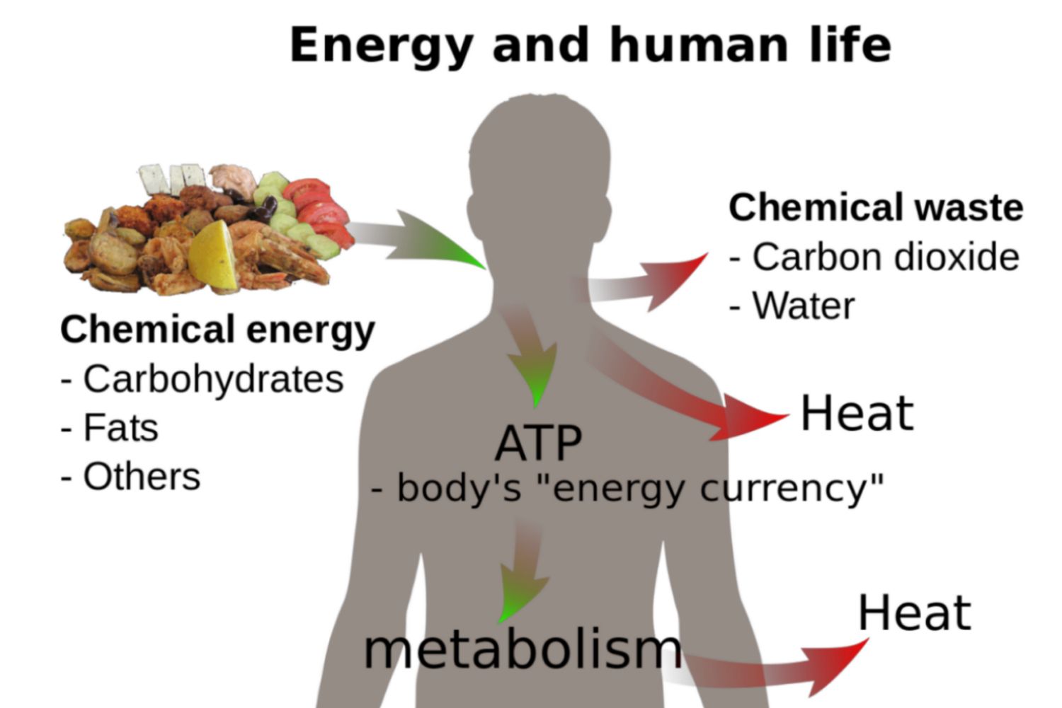 <p><span>Energy cannot be made</span></p>