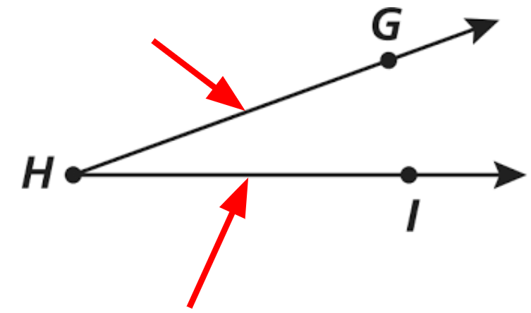 <p>The two rays that form an angle.</p>