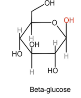 <p>The -OH group produced on carbon 1 is positioned above the plane of the ring.</p>
