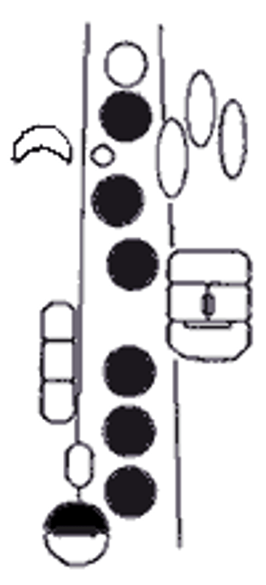 knowt flashcard image