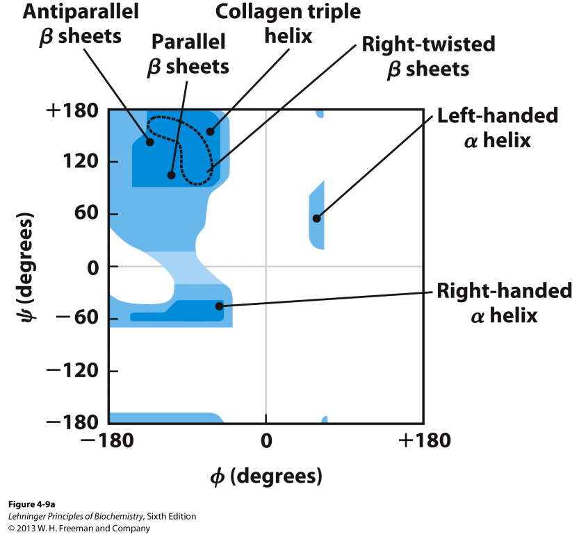<p>What is a&nbsp;Ramachandran plot?</p>