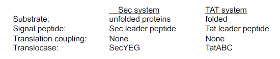 <p>Sec: Deals with unfolded proteins</p><p>Tat: Deals with folded proteins</p>