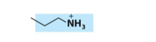 <p>What is the name, category, and net charge of this lipid?</p>