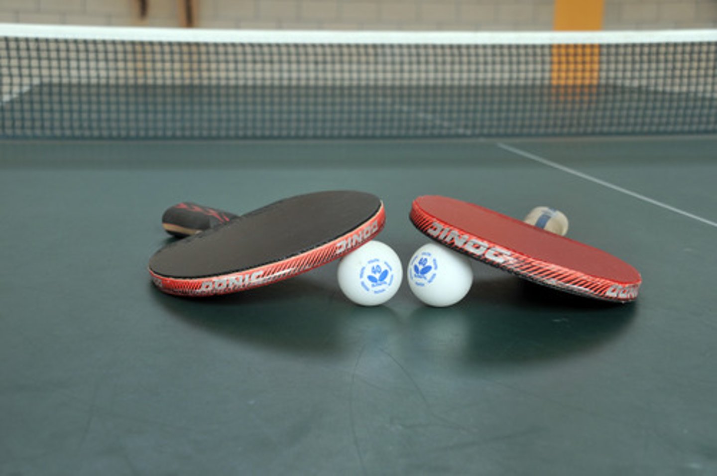 <p>ping pong</p>