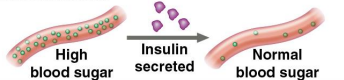 <p>Hormonal proteins</p>