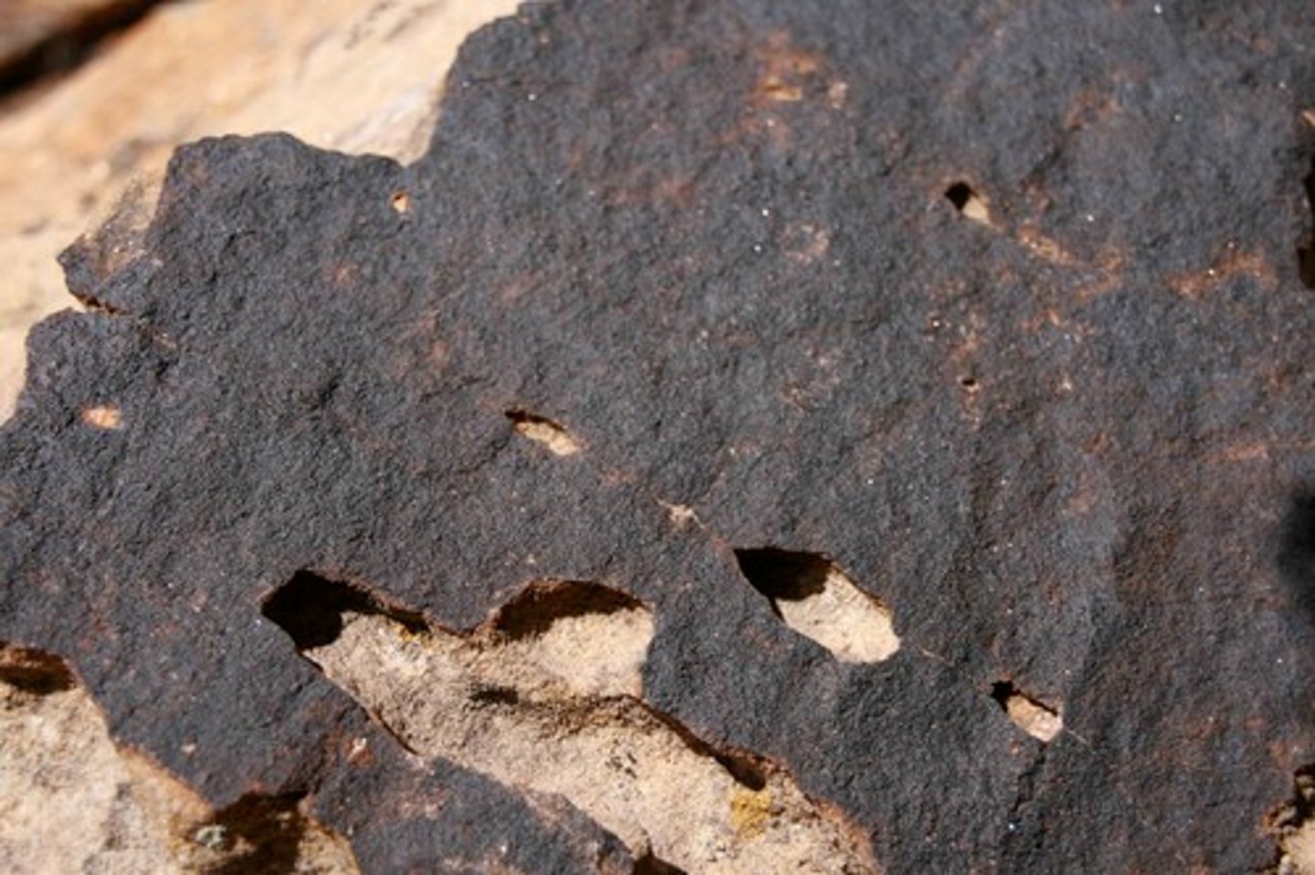 <p>A dark, rusty-brown coating of iron oxide and magnesium oxide that accumulates on the surface of the rock.</p>