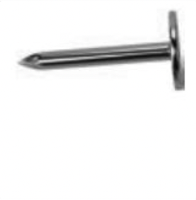 Very wide head, often galvanised, used in roofing felt and plasterboard