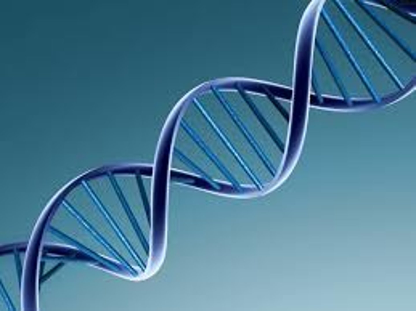 <p>What is the shape of DNA?</p>