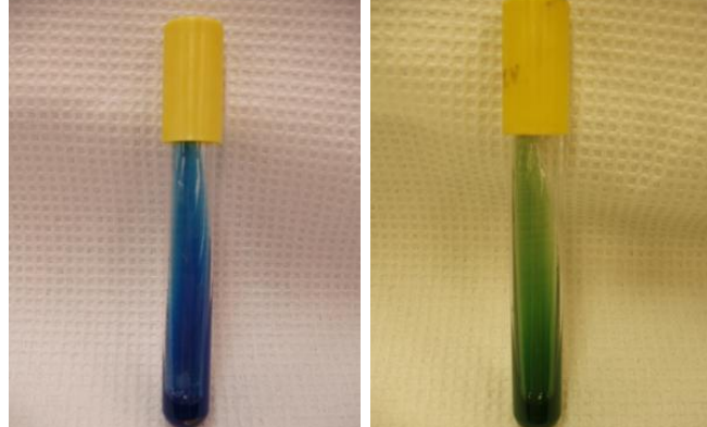 <p>Give the most probable species that give the following results (L-R)</p>