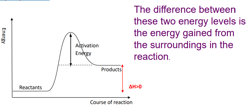 <p>ENDOthermic reactions ABSORB heat from the surroundings</p><p>temperature of the surroundings DECREASES</p><p>e.g. melting, evaporation</p><p>the products have a higher enthalpy (heat content) than the reactants.</p><p>Enthalpy change (ΔH) is positive</p><p></p>