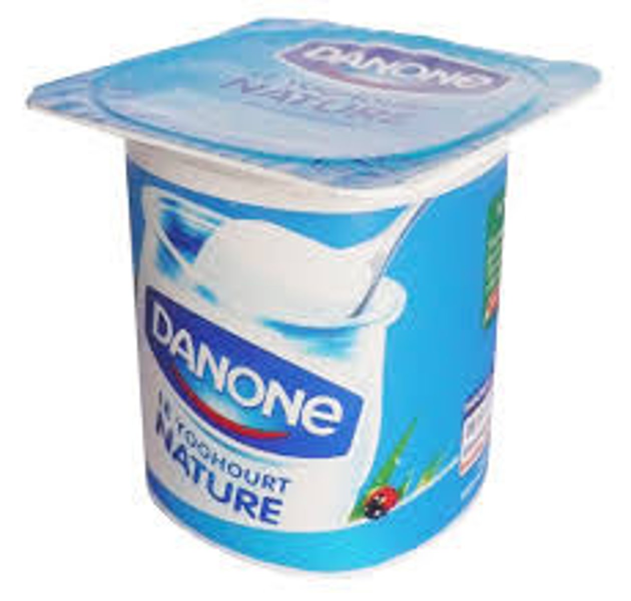 <p>plain yogurt</p>
