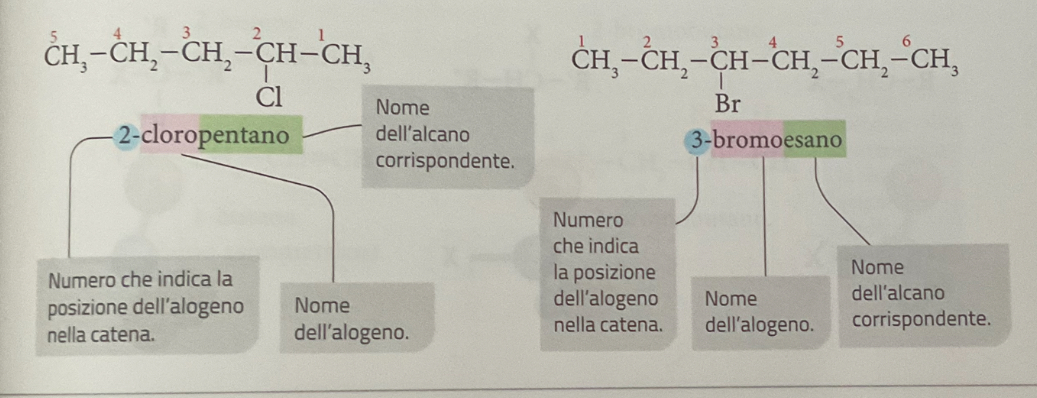 <p>La nomenclatura di un alogenuro alchilico secondo le regole IUPAC inizia con l'indicazione del numero di posizione dell'alogeno, seguito dal nome dell'alogeno stesso e infine dal nome dell'alcano da cui deriva. Ad esempio: il cloroetano è nominato come 1-cloroetano se il cloro si trova sul primo carbonio.</p>