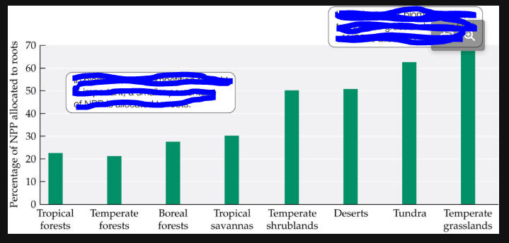<p>what is labeled?</p>