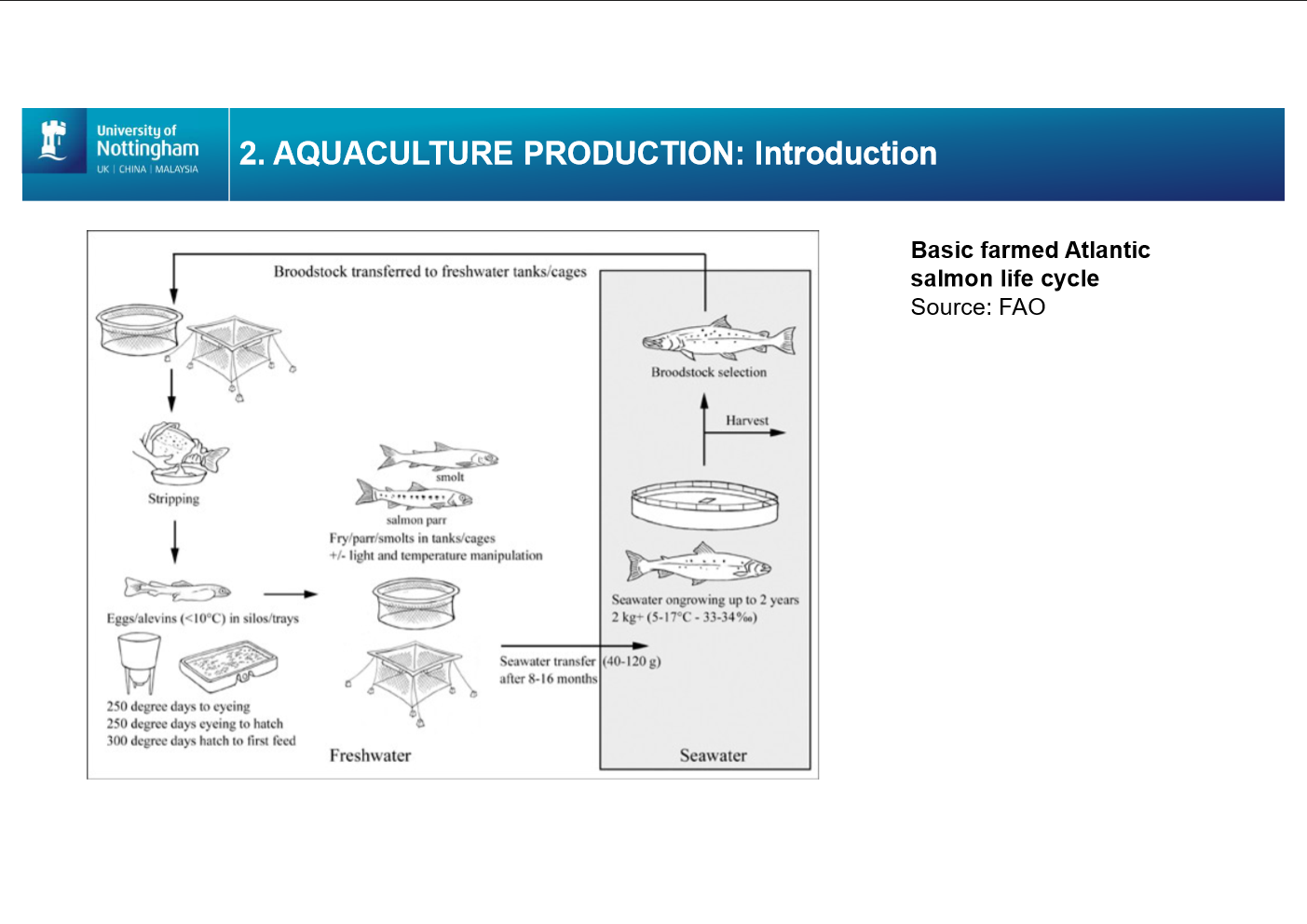 <p>broodstocked selected from farmed or wild pop.</p><p>induce spawining - light and temp manipulation</p><p>disease screening</p><p>ova are stripped</p><p>freshwater hatchery</p><p>incubated in troughs</p><p>fry - parr -</p><p>naturally or light manipulation turning into smolts</p><p>moved by boat or helicopter to where they will grow out</p><p>most vulnerable to environmental and disease pressure </p><img src="https://knowt-user-attachments.s3.amazonaws.com/70de1f9e-fb86-4529-a87c-e69b0888db1d.png" data-width="100%" data-align="center"><p></p>