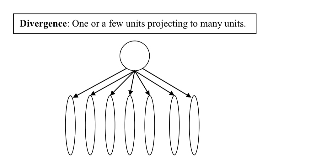 <ul><li><p>few or one unit projecting onto many units </p></li></ul><p></p>