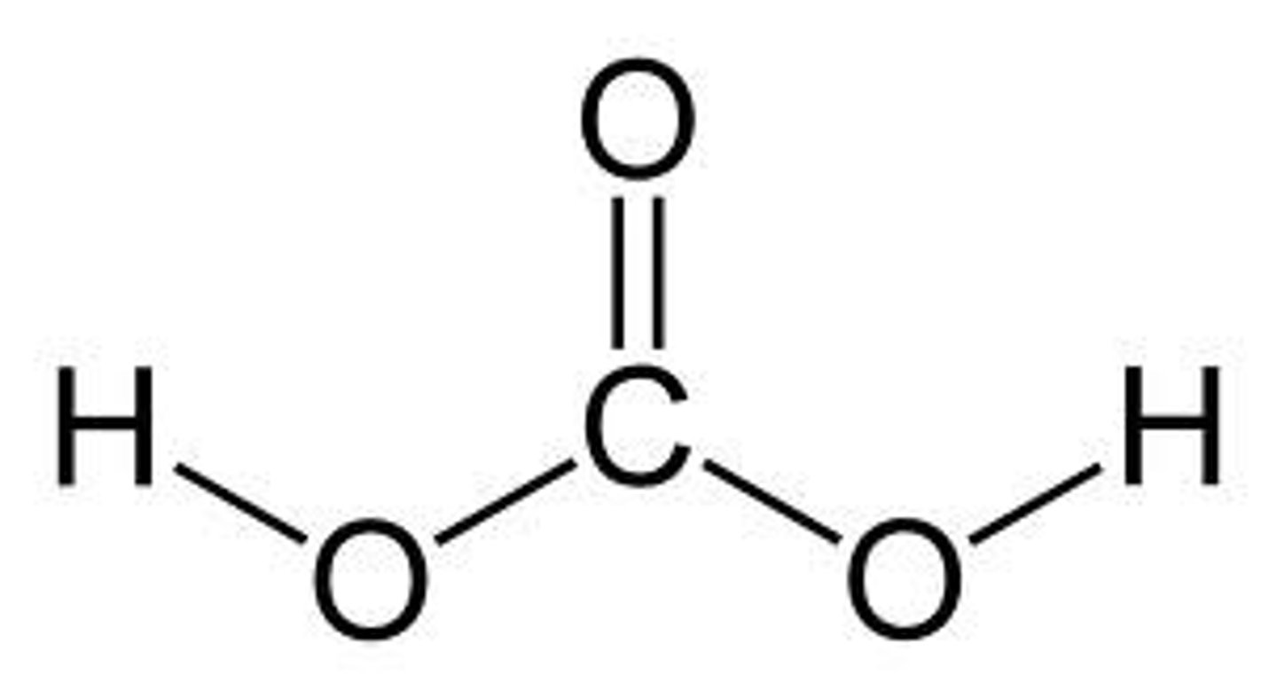 <p>Carbonic Acid (H2CO3)</p>